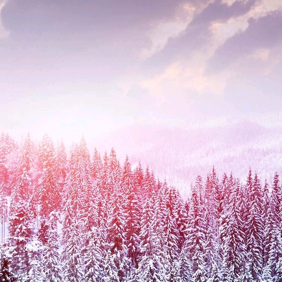 Meet your Posher, Madison - Picture 1 of 1